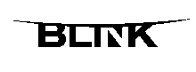 blink final copy2